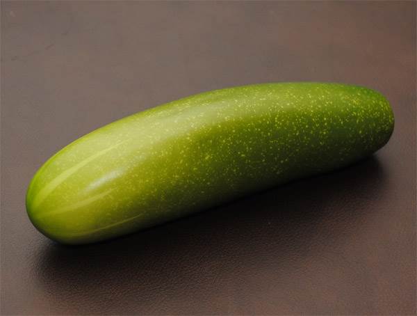 Cucumber