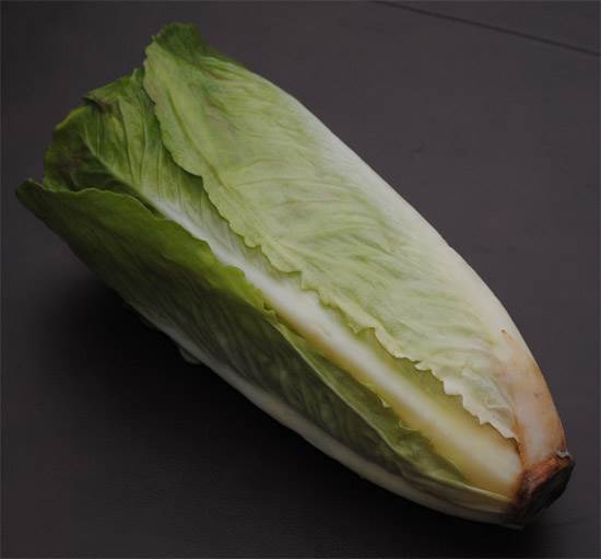 Romaine Lettuce