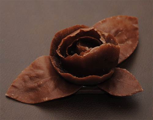 Chocolate Rose