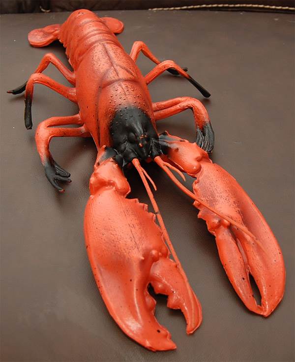 Lobster