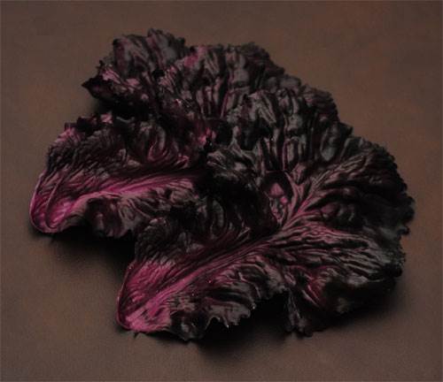 Lettuce (Red)