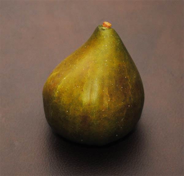 Fig