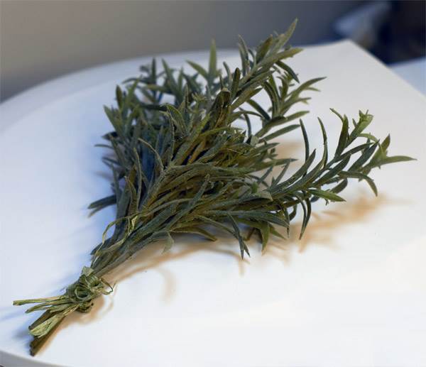 Rosemary