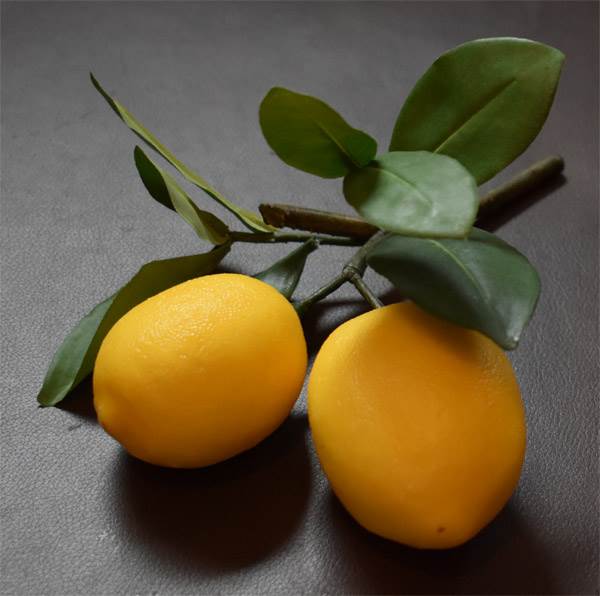 Lemons on Branch