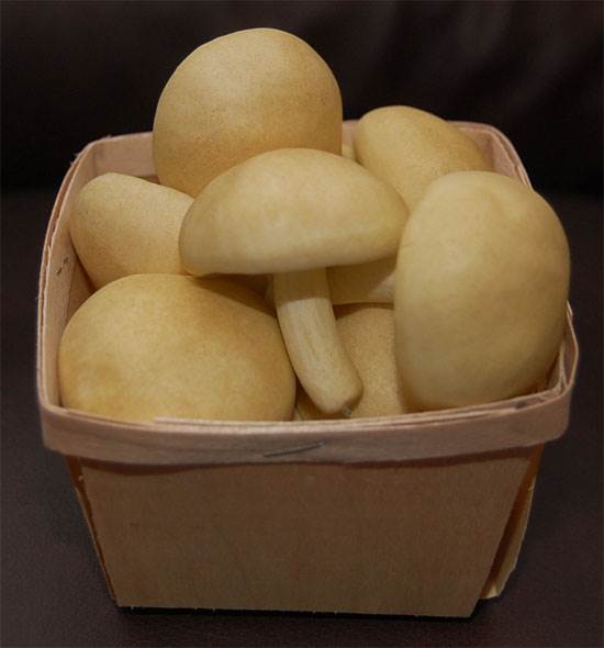 Basket, Mushroom
