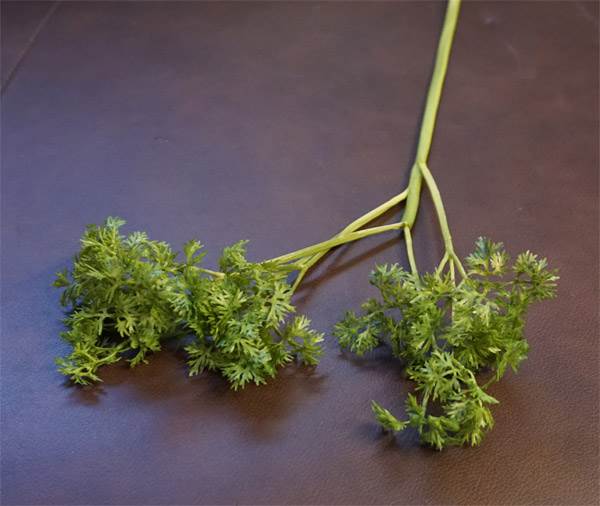 Parsley Branch