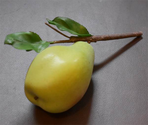 Pear on Branch