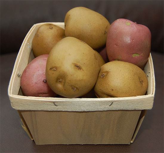 Potato Russet