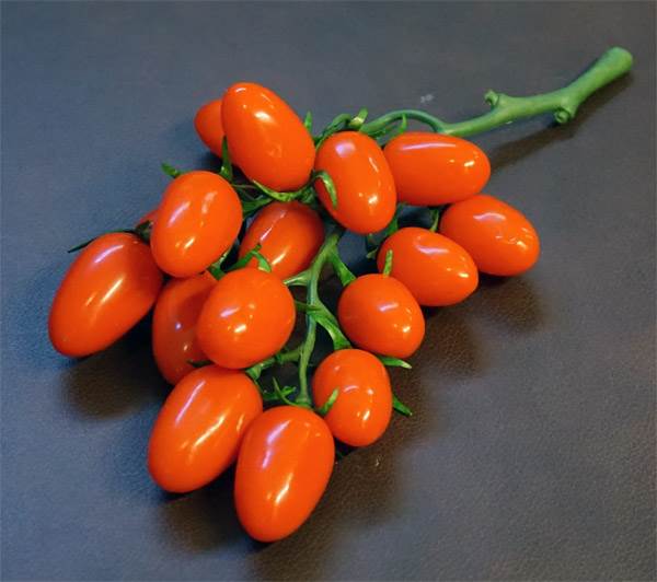 Tomatoes (Plum Cherry)