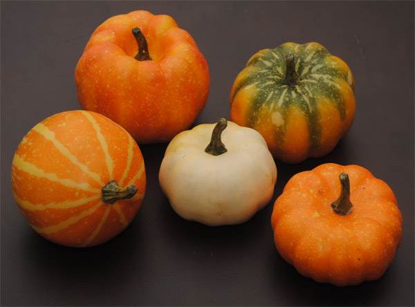 Pumpkin & Squash Assortment #3